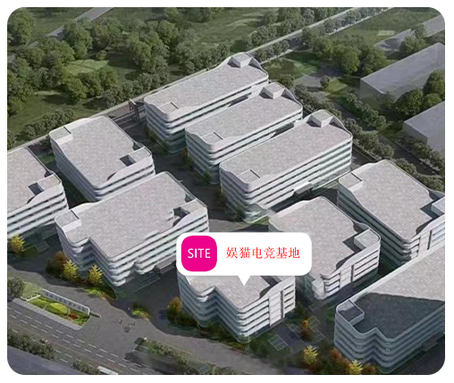 综合实力